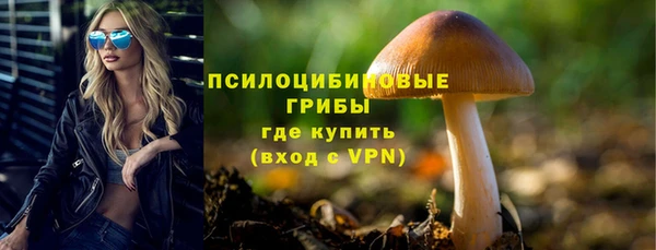 шишки Нягань