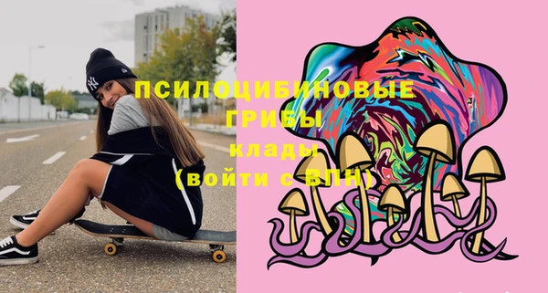 шишки Нягань