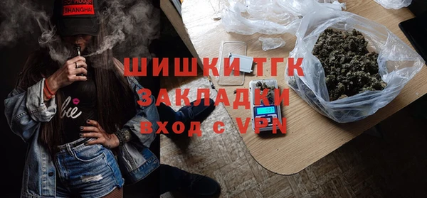 шишки Нягань