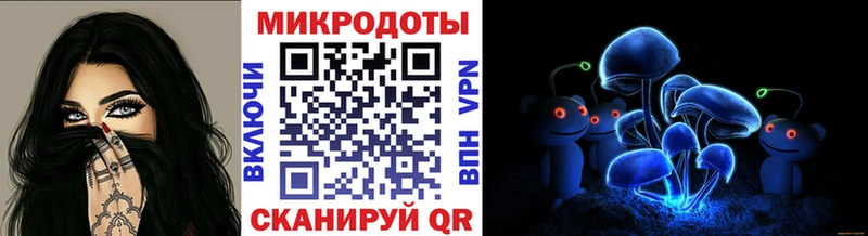 Купить где  Новотитаровская  Галлюциногенные грибы мицелий 